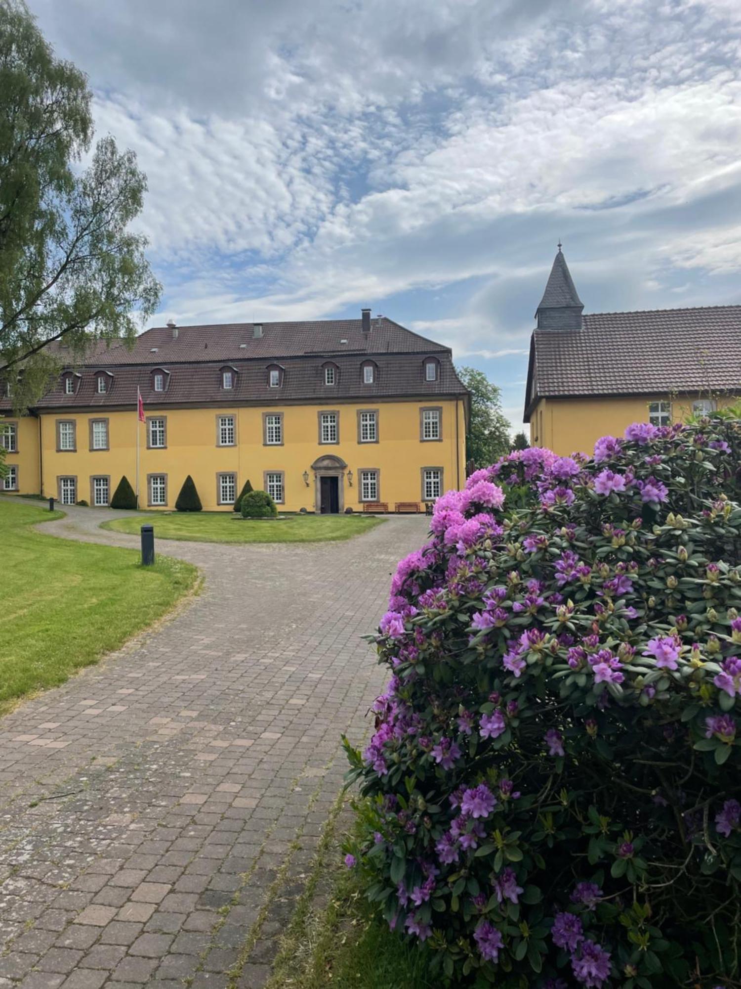 Hotel Schloss Hoehnscheid 巴特阿罗尔森 外观 照片