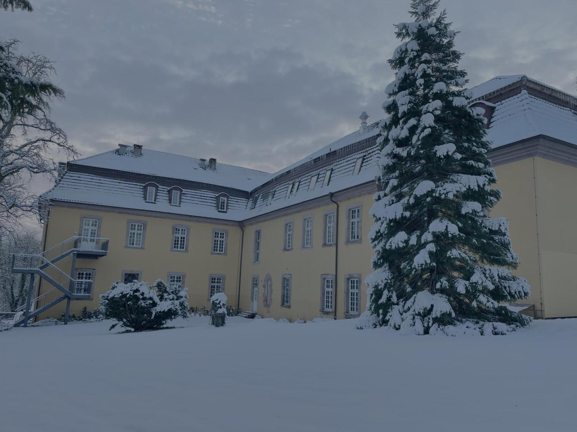 Hotel Schloss Hoehnscheid 巴特阿罗尔森 外观 照片